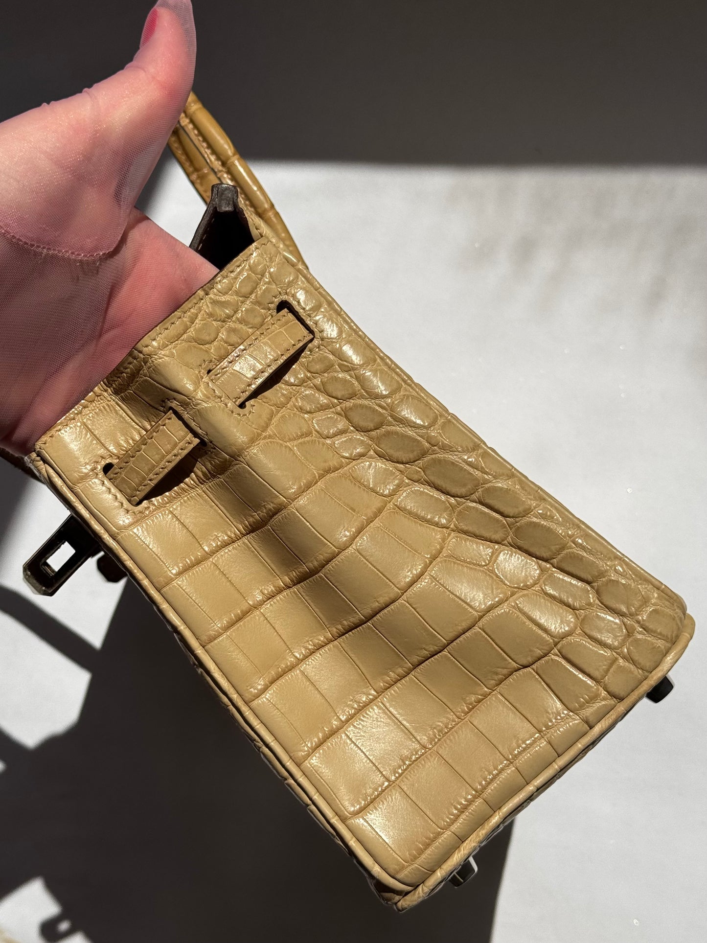 Hermes Matte Crocodile Poussiere Birkin 25 PHW