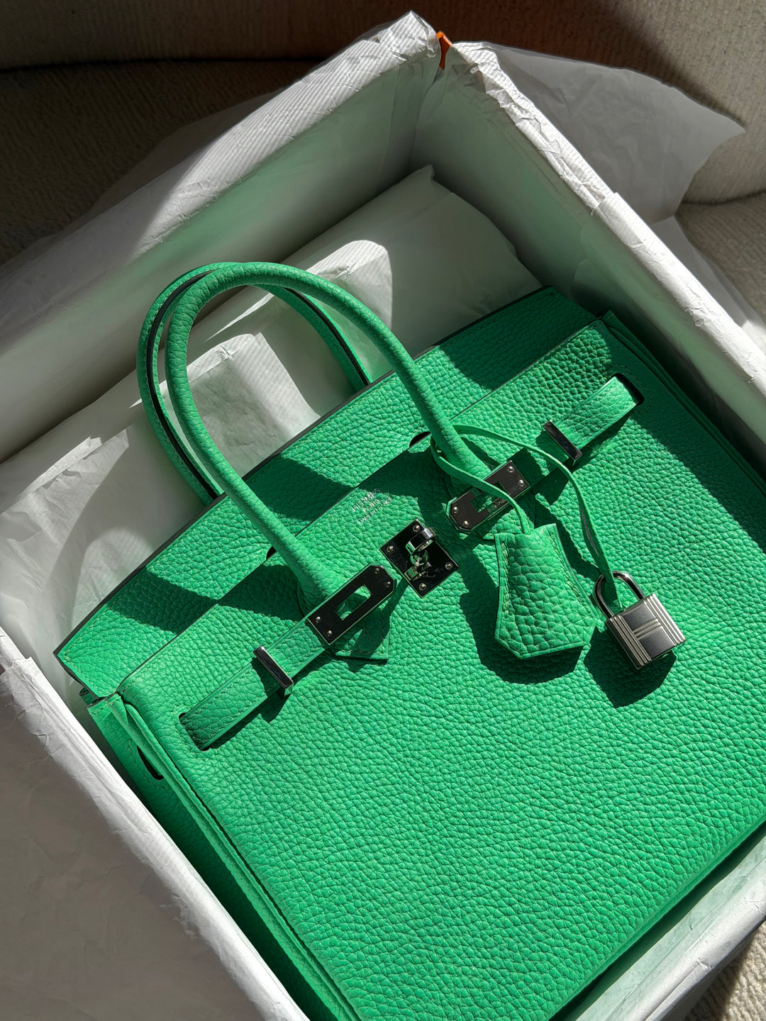 Hermès Birkin 25 Vert Comics Togo Palladium Hardware 2023