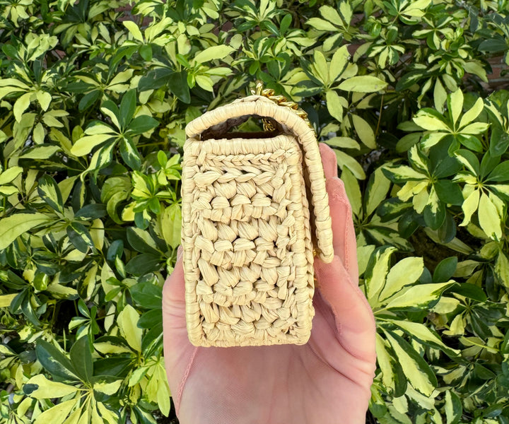 Celine 2023 Mini Chain Raffia Claude