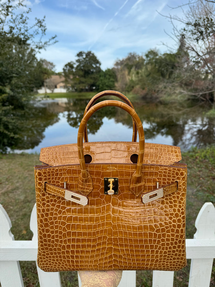 Hermes Crocodile Diamond Birkin 30