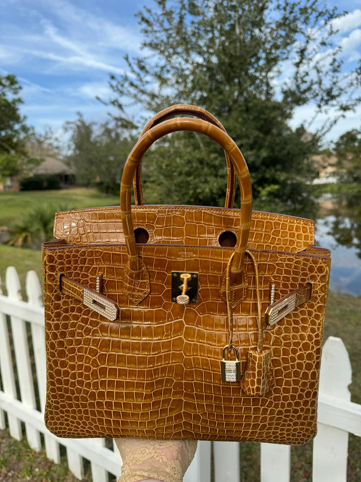 Hermes Crocodile Diamond Birkin 30