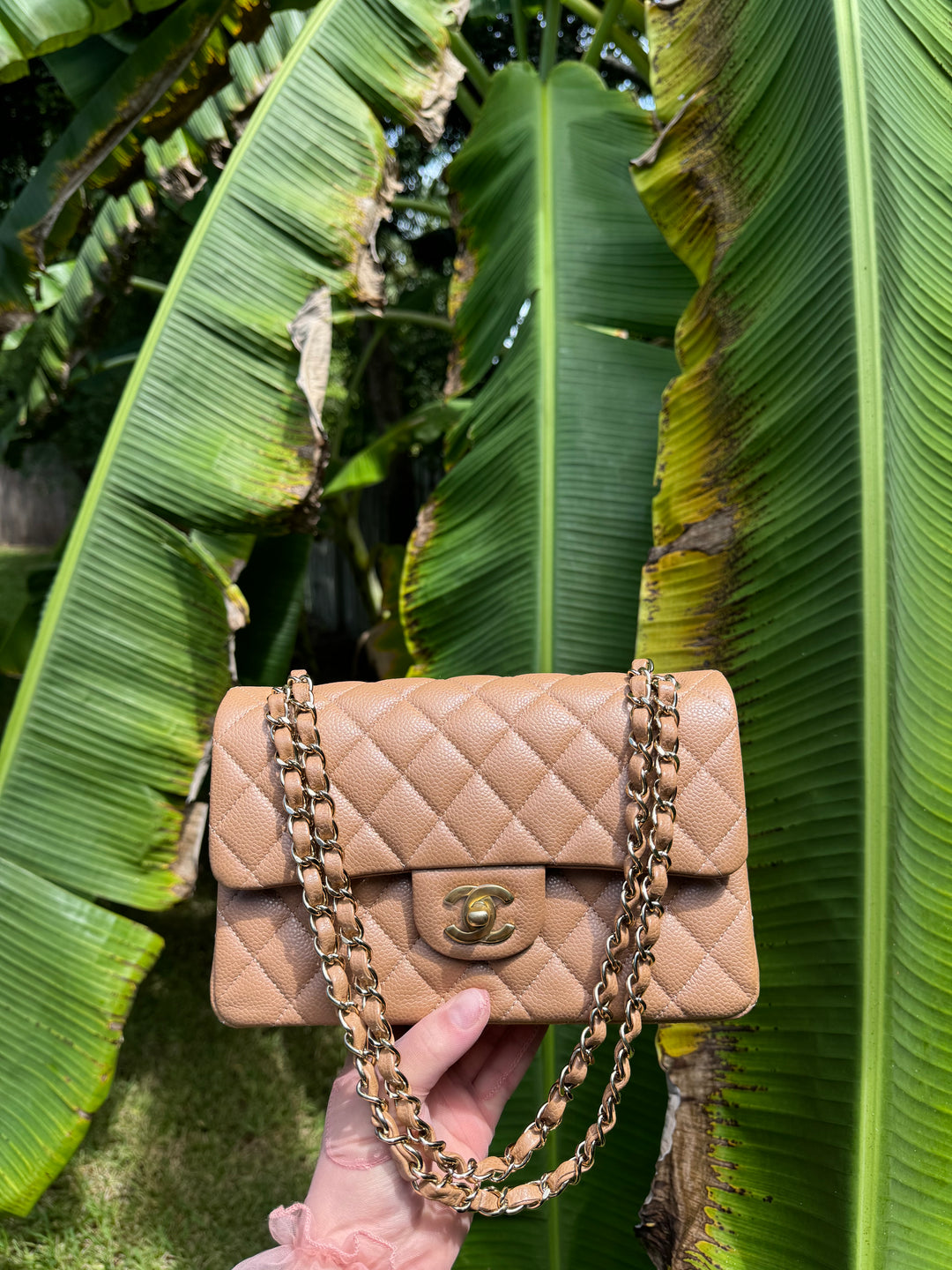Chanel 18S Small Dark Beige Caviar Double Flap
