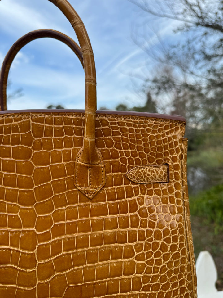 Hermes Crocodile Diamond Birkin 30