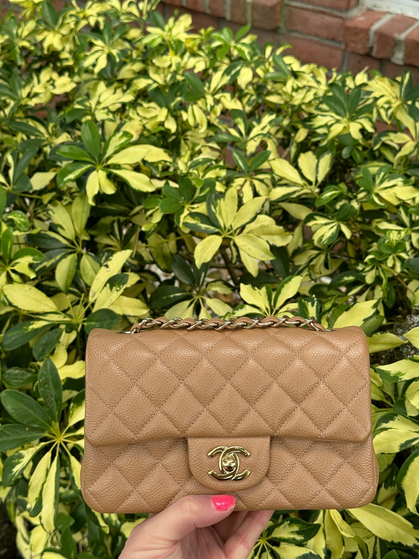 Chanel 18S Dark Beige Caviar Mini Flap Bag