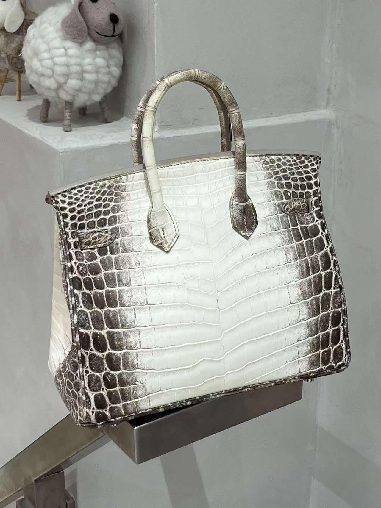 Hermes 2016 Matte Niloticus Crocodile Himalaya Birkin 25