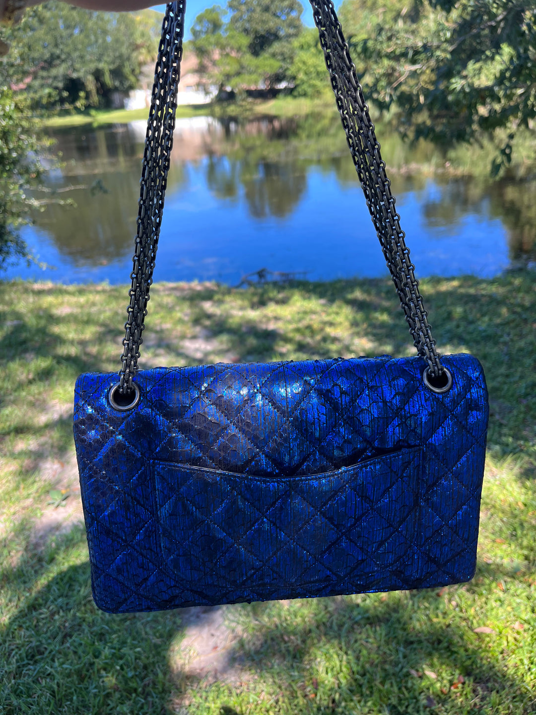 Chanel Blue Python Medium Reissue Double Flap Bag
