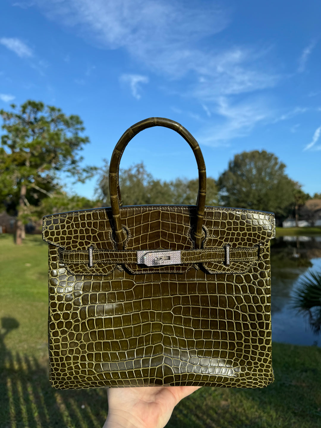 Hermes Crocodile Diamond Birkin 30