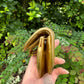 Christian Dior Metallic Gold Ostrich Saddle + Matching Pouch