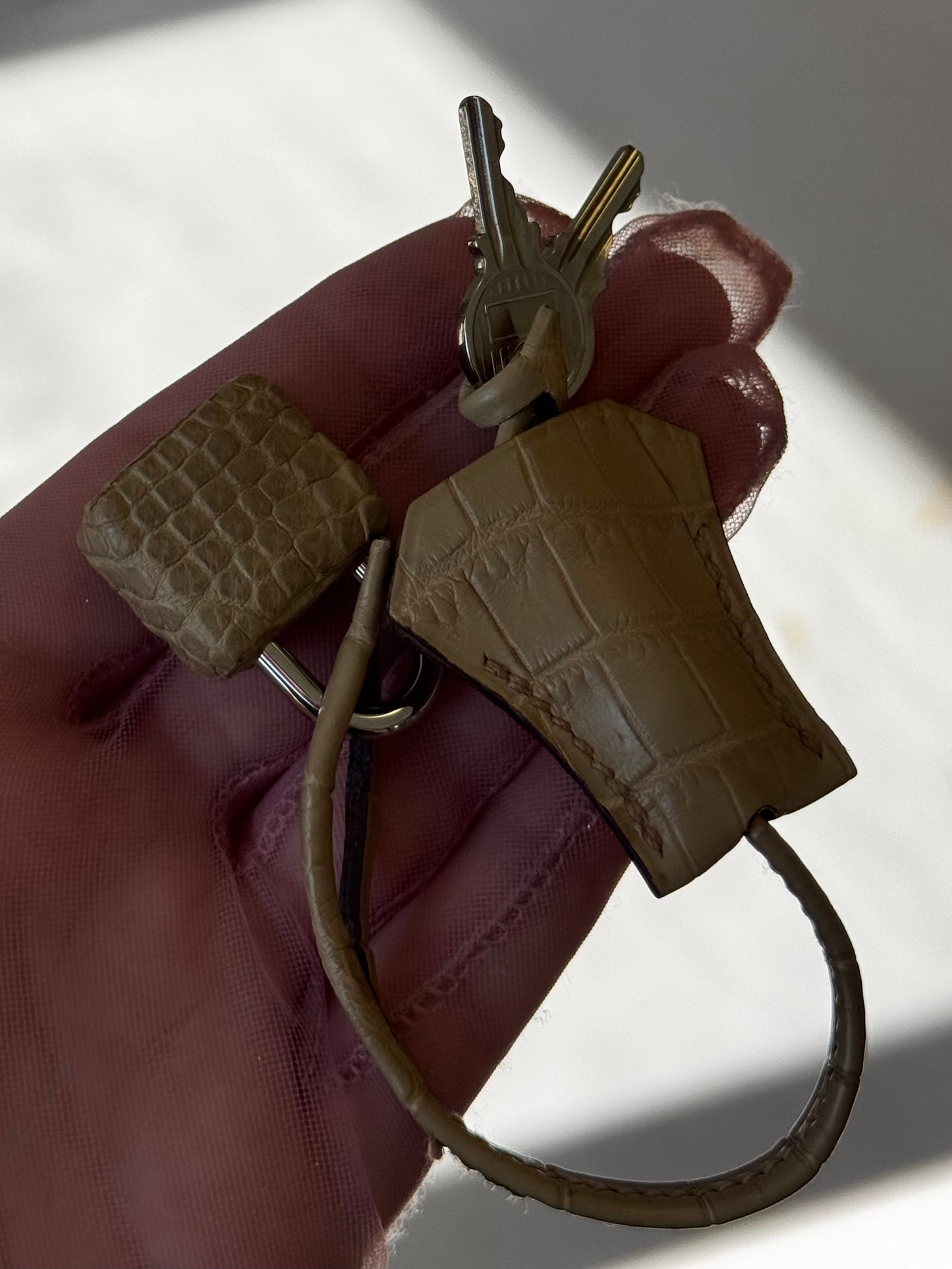 Hermes Matte Crocodile Poussiere Birkin 25 PHW