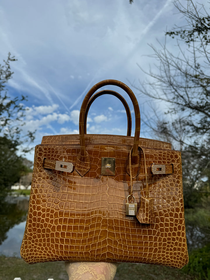 Hermes Crocodile Diamond Birkin 30