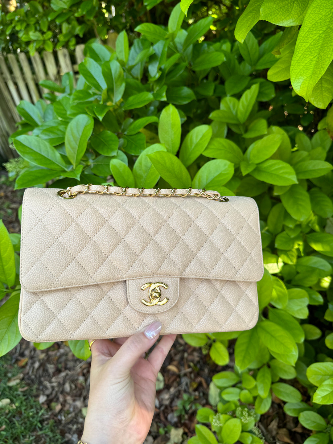 Chanel 2008 Beige Claire Medium Caviar Classic Flap W 24K GHW