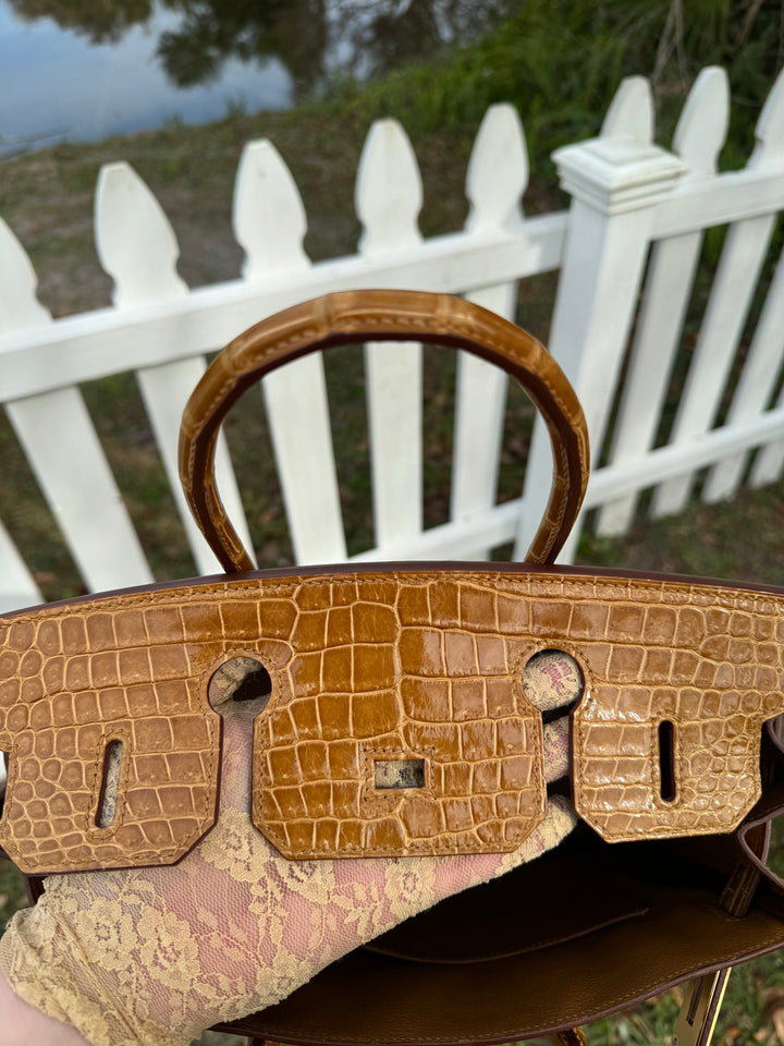 Hermes Crocodile Diamond Birkin 30