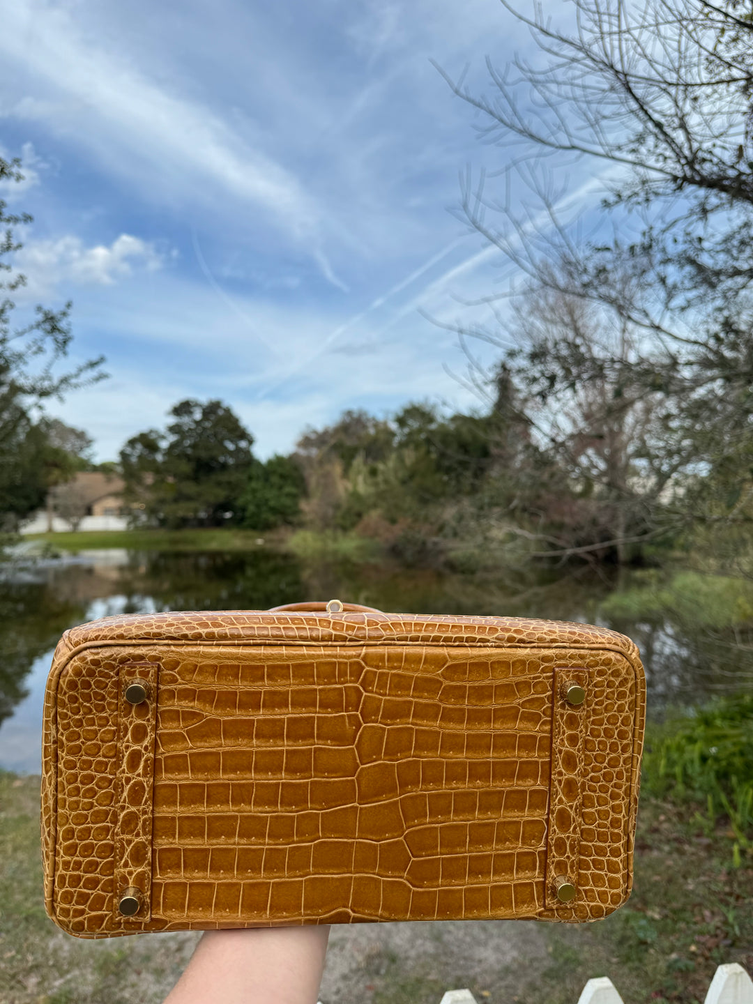 Hermes Crocodile Diamond Birkin 30