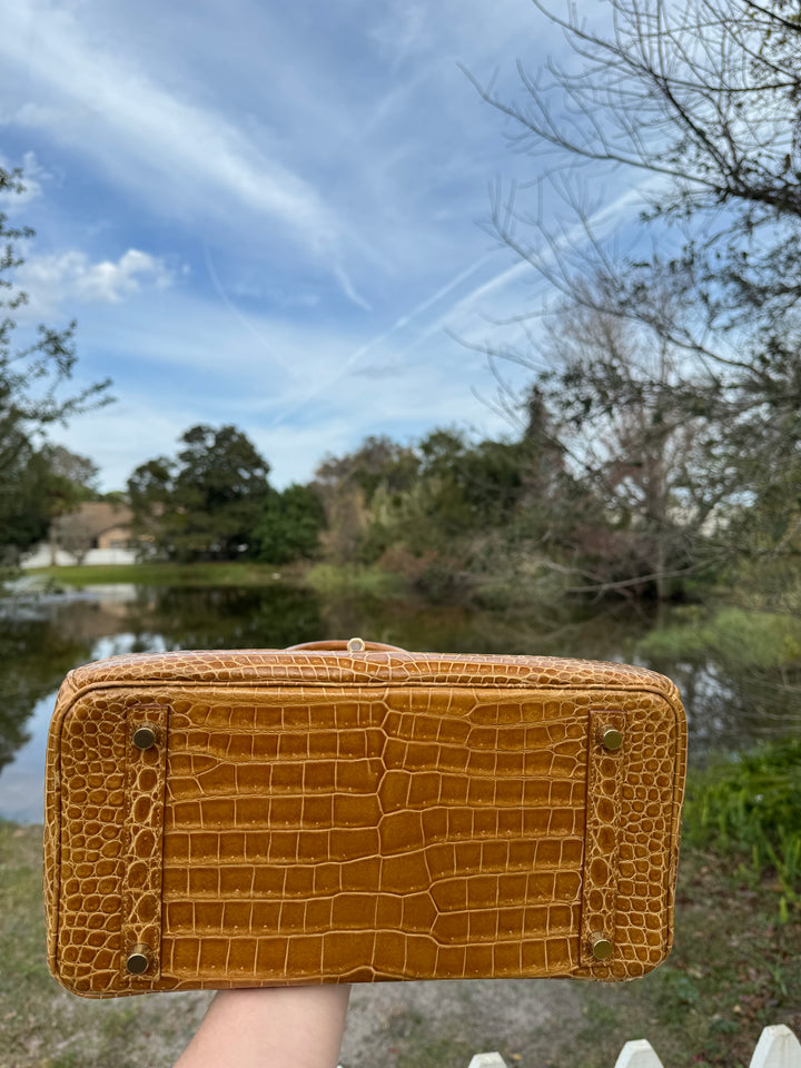 Hermes Crocodile Diamond Birkin 30