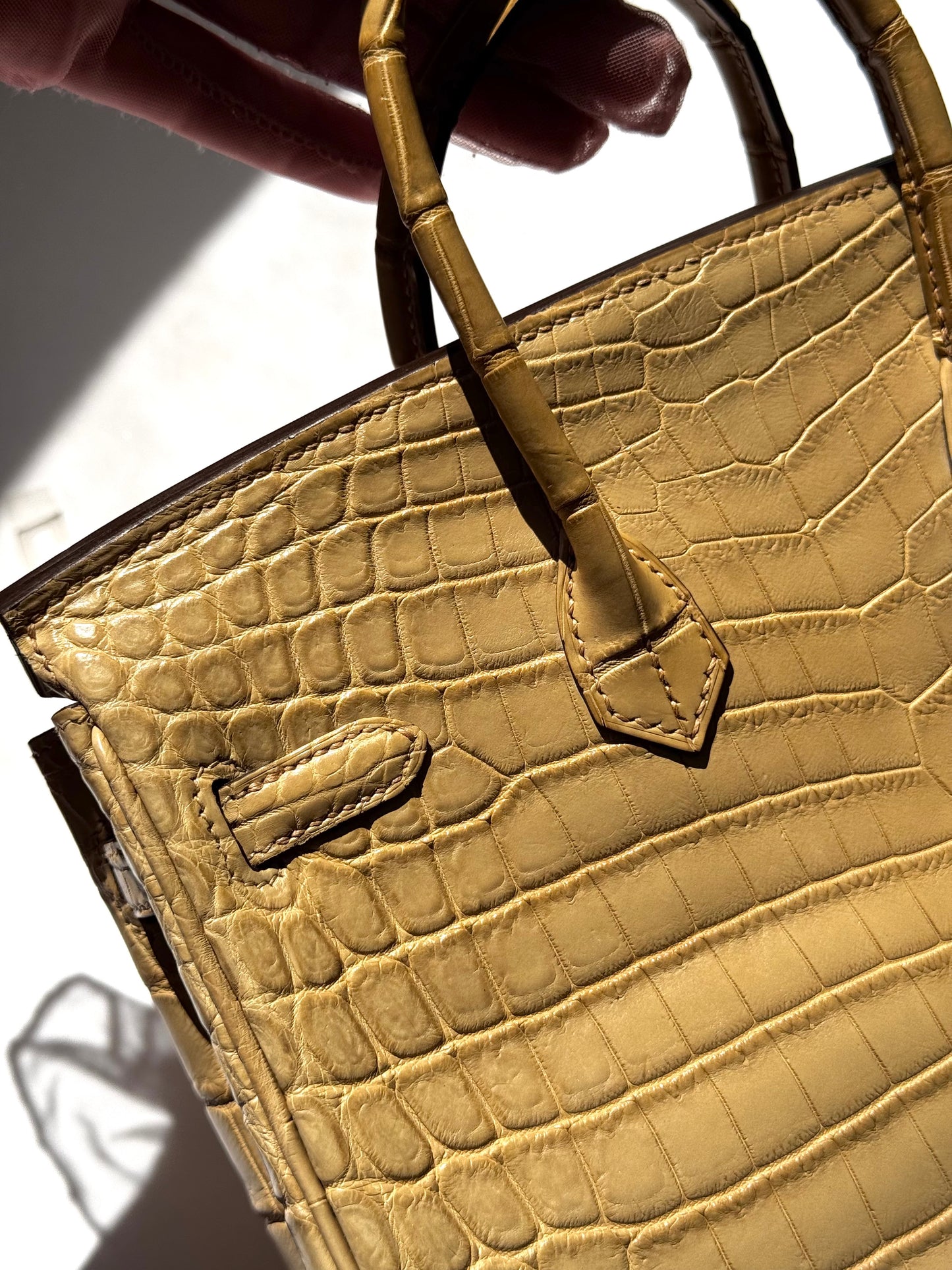 Hermes Matte Crocodile Poussiere Birkin 25 PHW