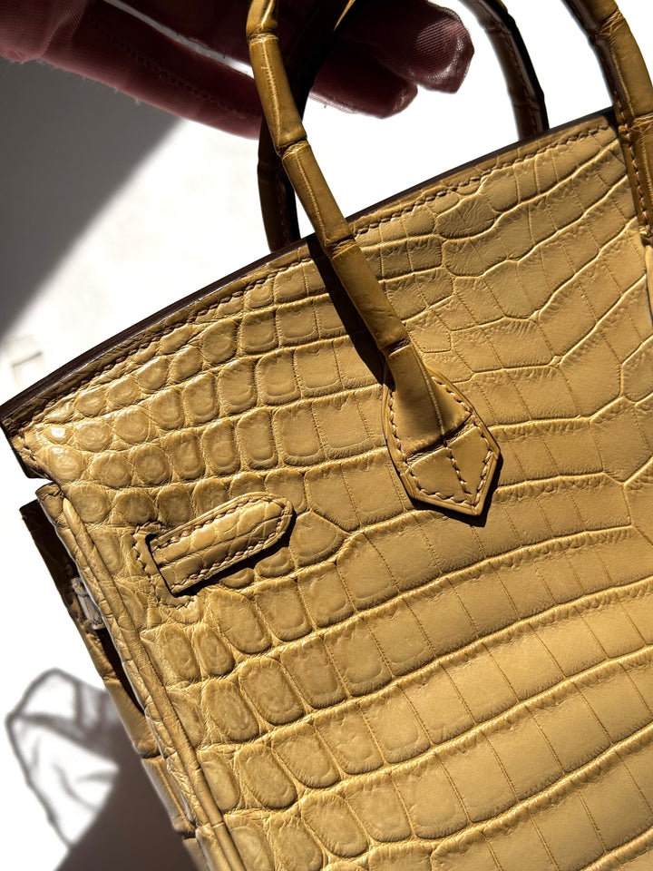 Hermes Matte Crocodile Poussiere Birkin 25 PHW