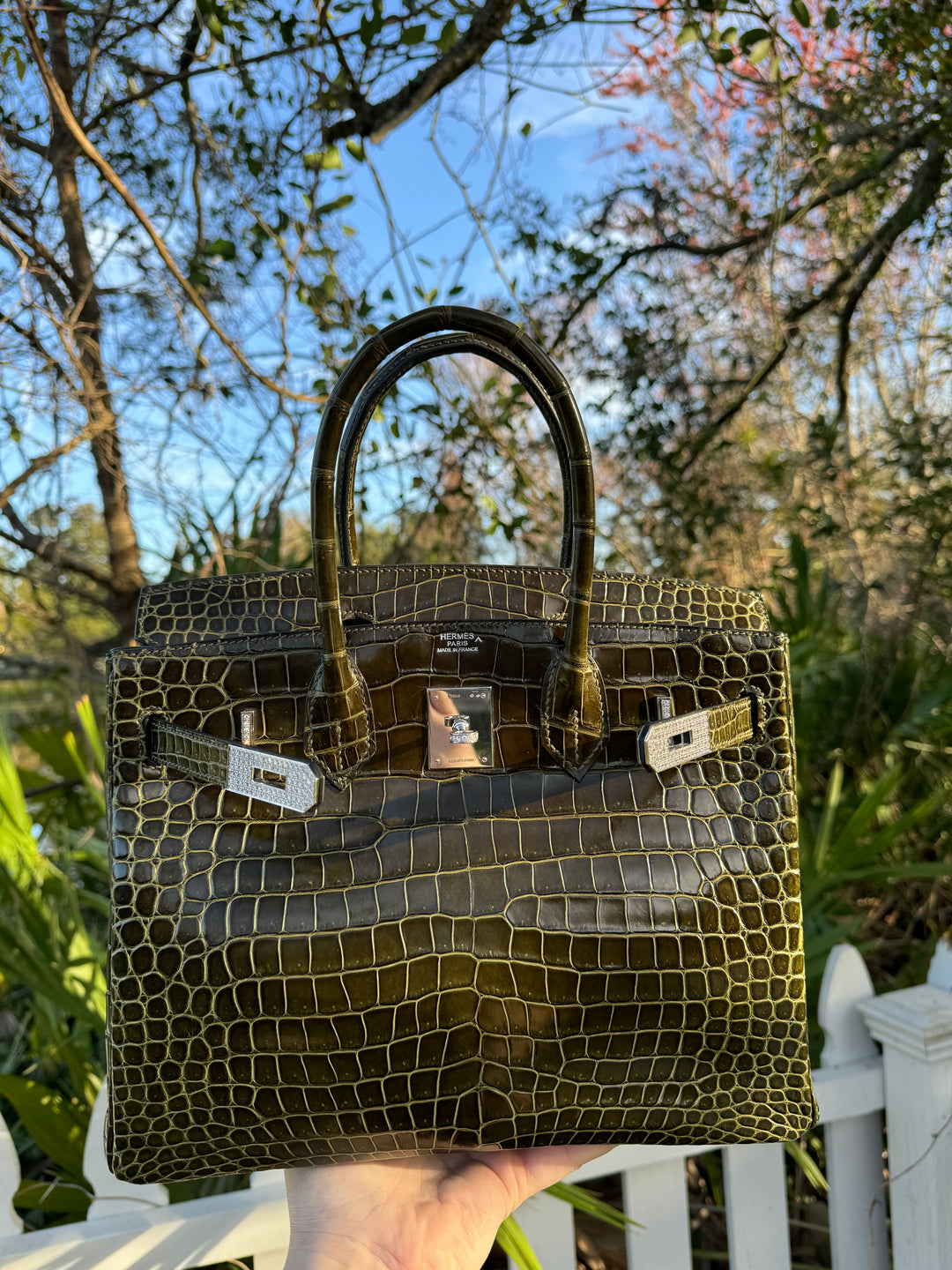 Hermes Crocodile Diamond Birkin 30