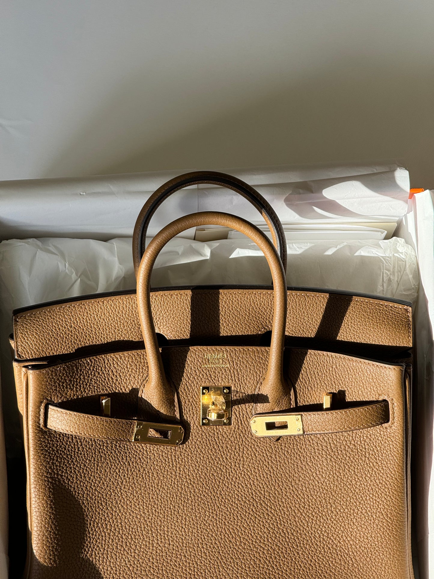 NIB 2024 Hermes Alezan Togo Birkin 25