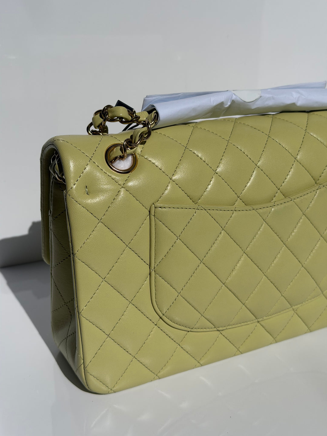 Chanel Medium Classic Flap Bag Pistachio Green Lambskin Gold Tone Hardware 2021