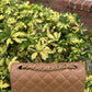 Chanel 18S Dark Beige Caviar Mini Flap Bag