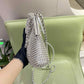 Chanel Crystal Embellished Metallic Mini 22