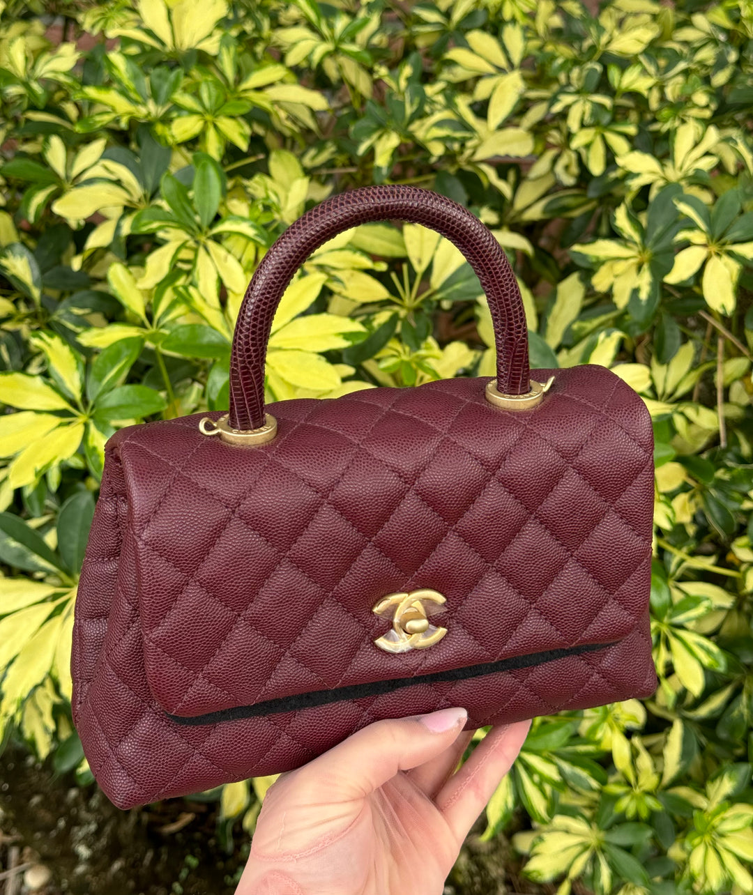 Chanel Small Burgundy Caviar Coco + Lizard Top Handle