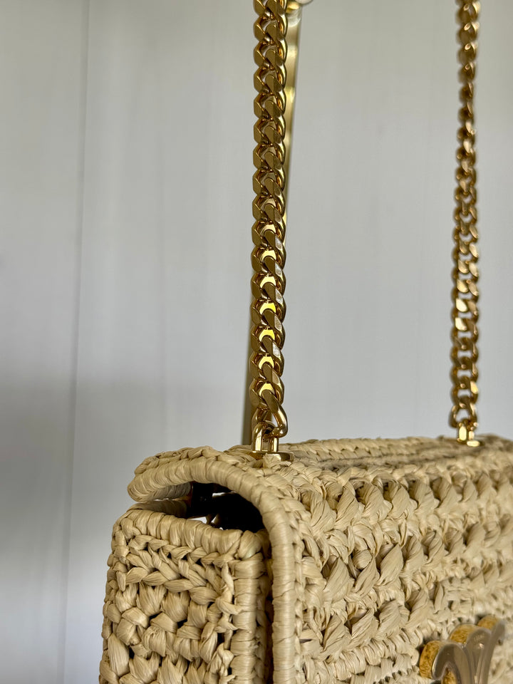 Celine 2023 Raffia Chain Shoulder Bag