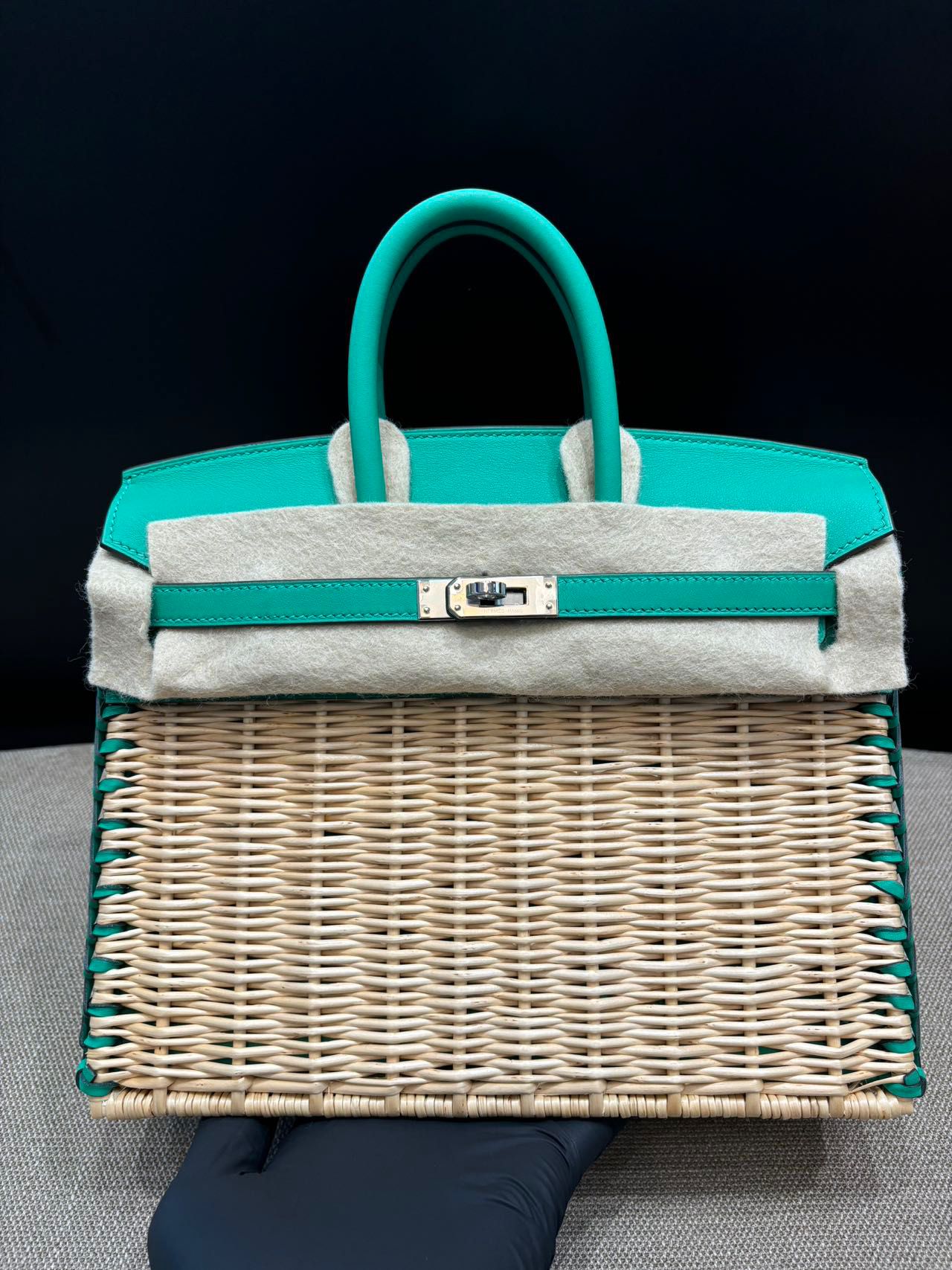 Hermes Menthe Swift Picnic Birkin 25