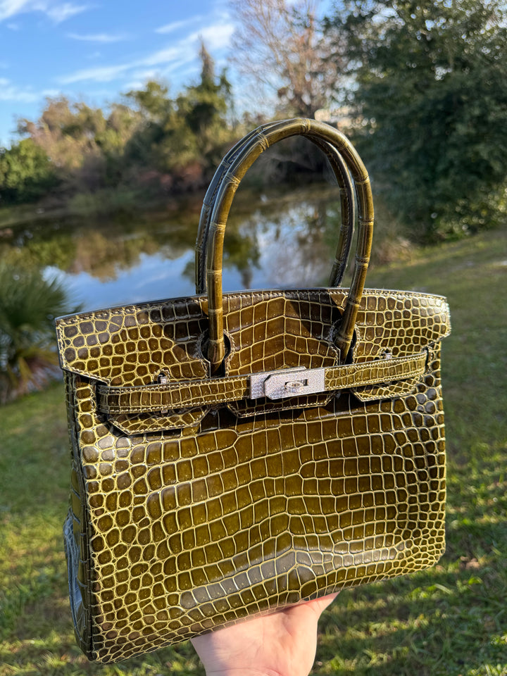 Hermes Crocodile Diamond Birkin 30
