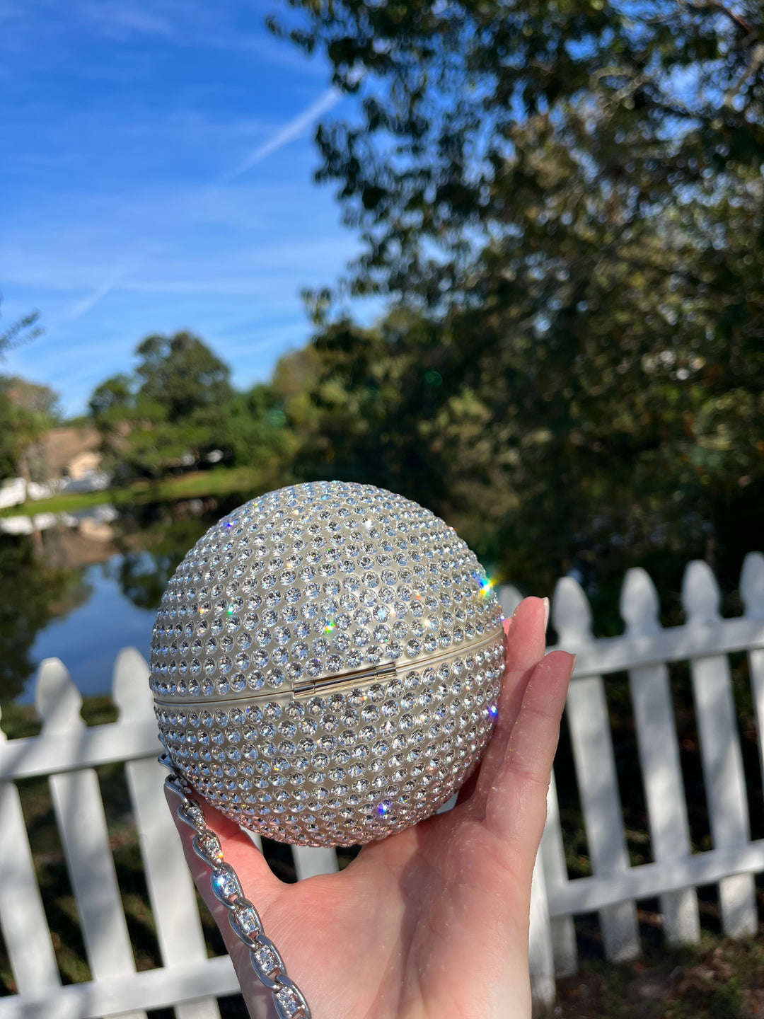Chanel Rare Runway 2018 Crystals Minaudières Clutch Crossbody Bag