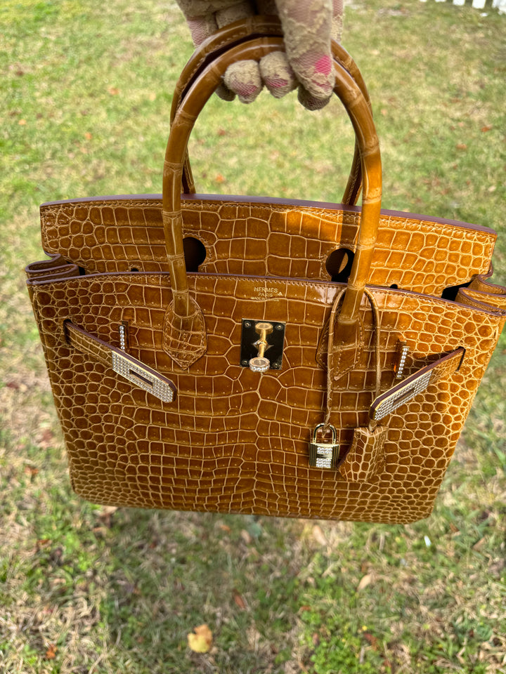 Hermes Crocodile Diamond Birkin 30