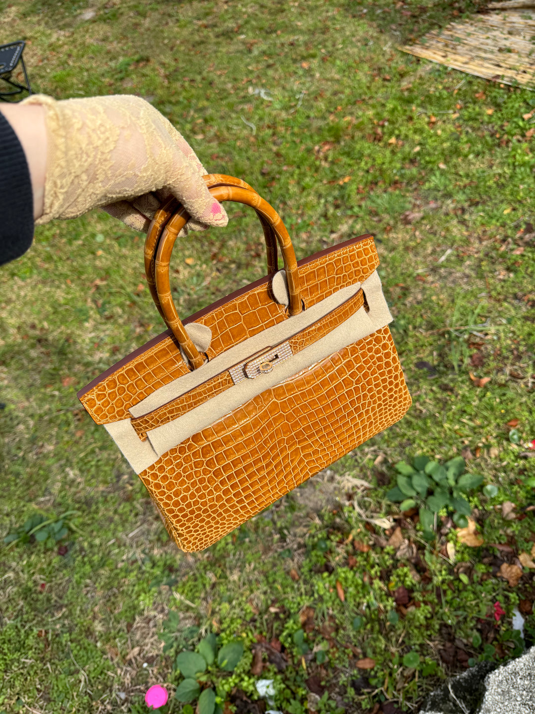 Hermes Crocodile Diamond Birkin 30