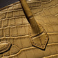 Hermes Matte Crocodile Poussiere Birkin 25 PHW