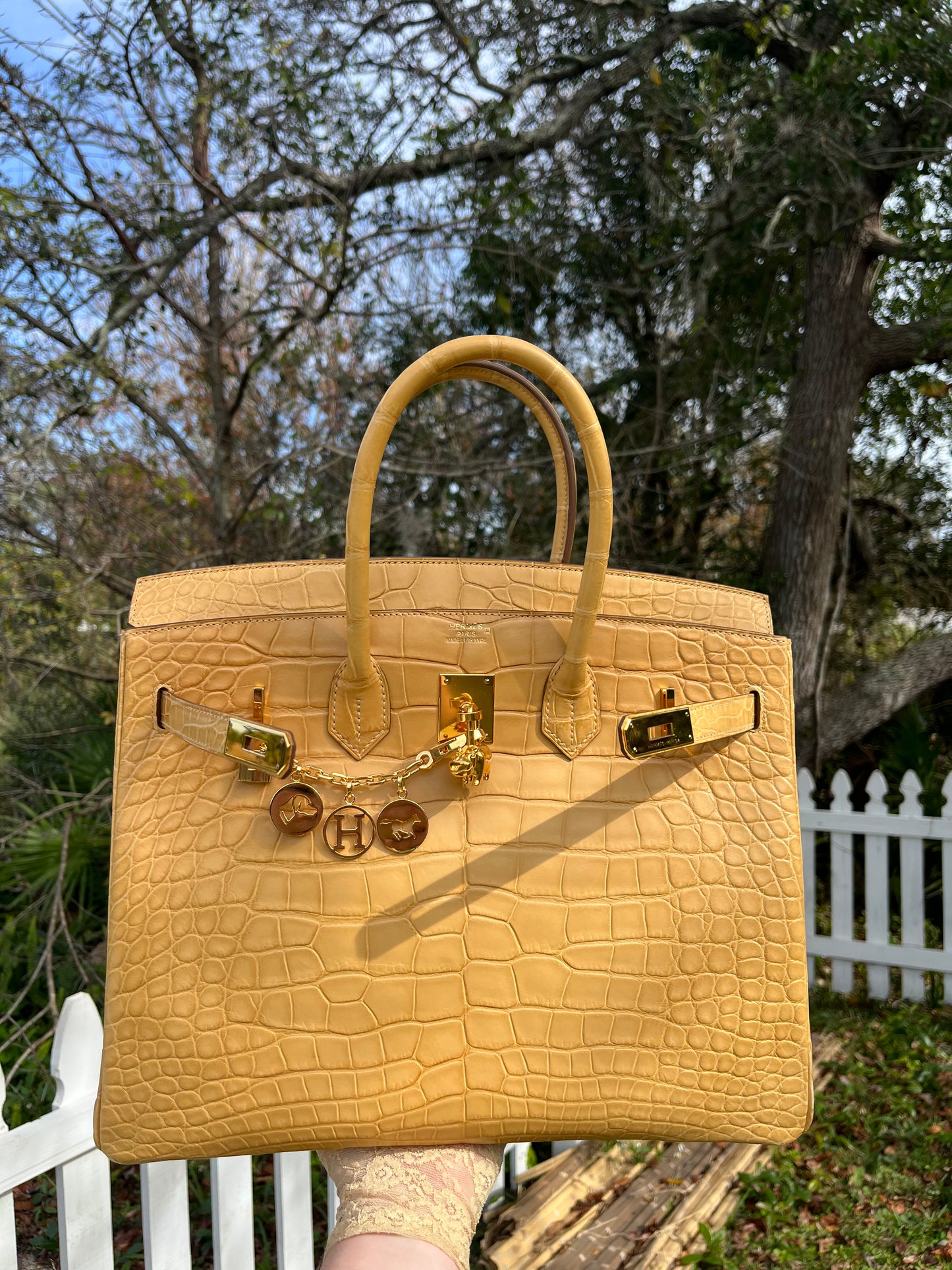 Hermes Poussiere Matte Croc Birkin 35 GHW