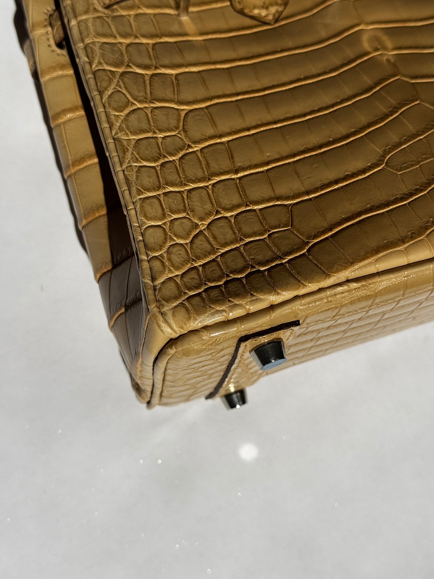Hermes Matte Crocodile Poussiere Birkin 25 PHW