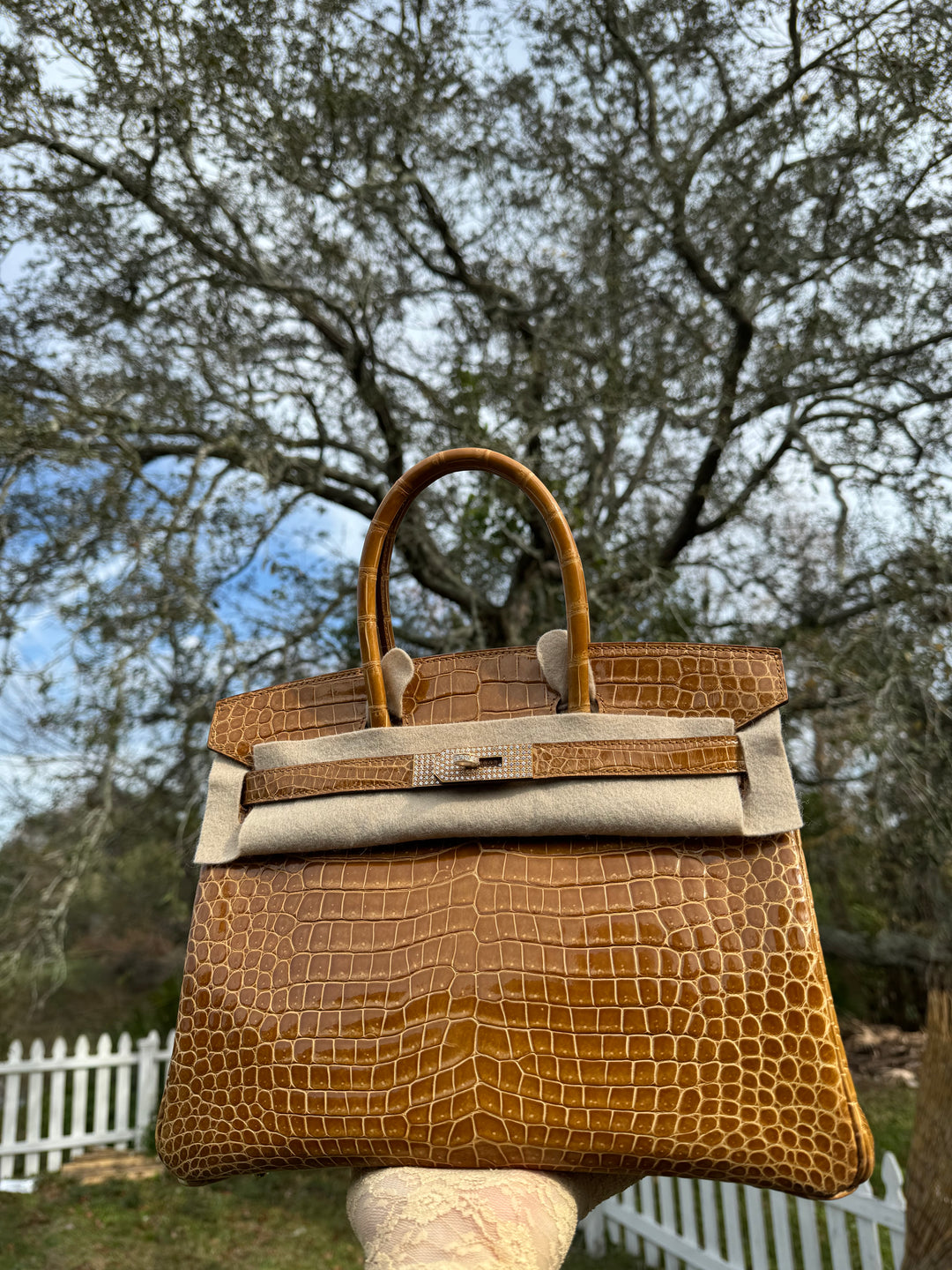 Hermes Crocodile Diamond Birkin 30