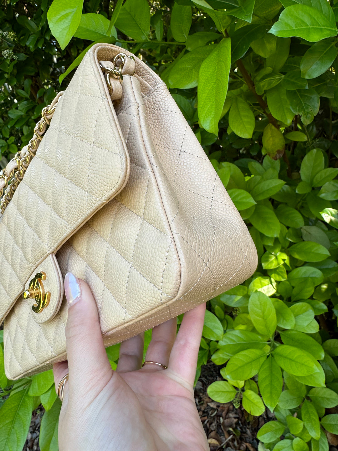 Chanel 2008 Beige Claire Medium Caviar Classic Flap W 24K GHW