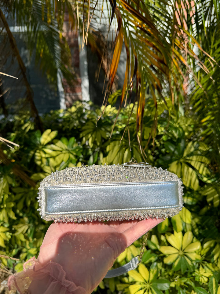 2023 Lady D-Joy Silver Embellished Micro Bag