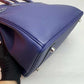Hermes Bleu Encre Togo and Niloticus Birkin 30