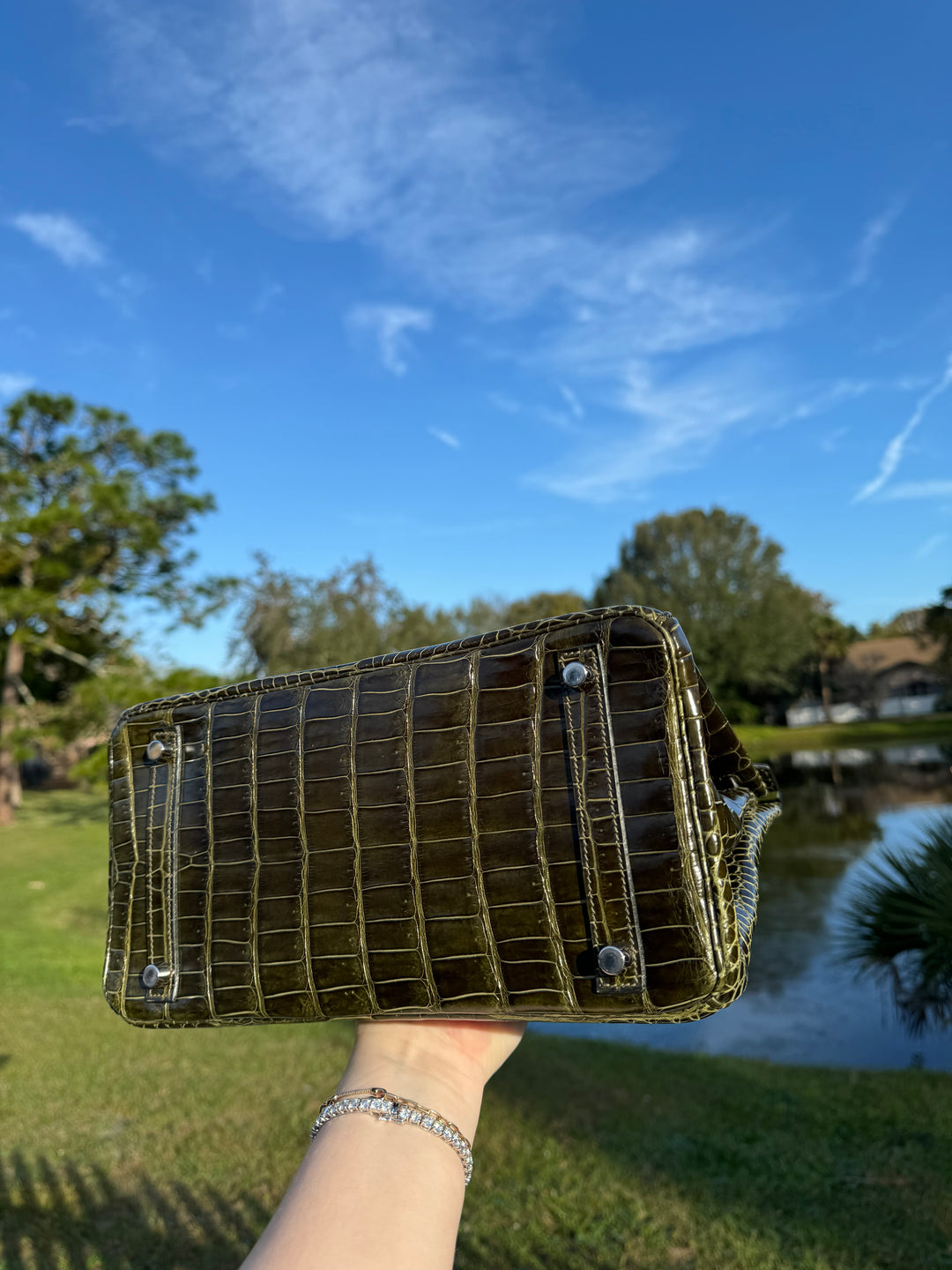Hermes Crocodile Diamond Birkin 30