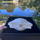 Chanel 19S Runway Shell Minaudiere