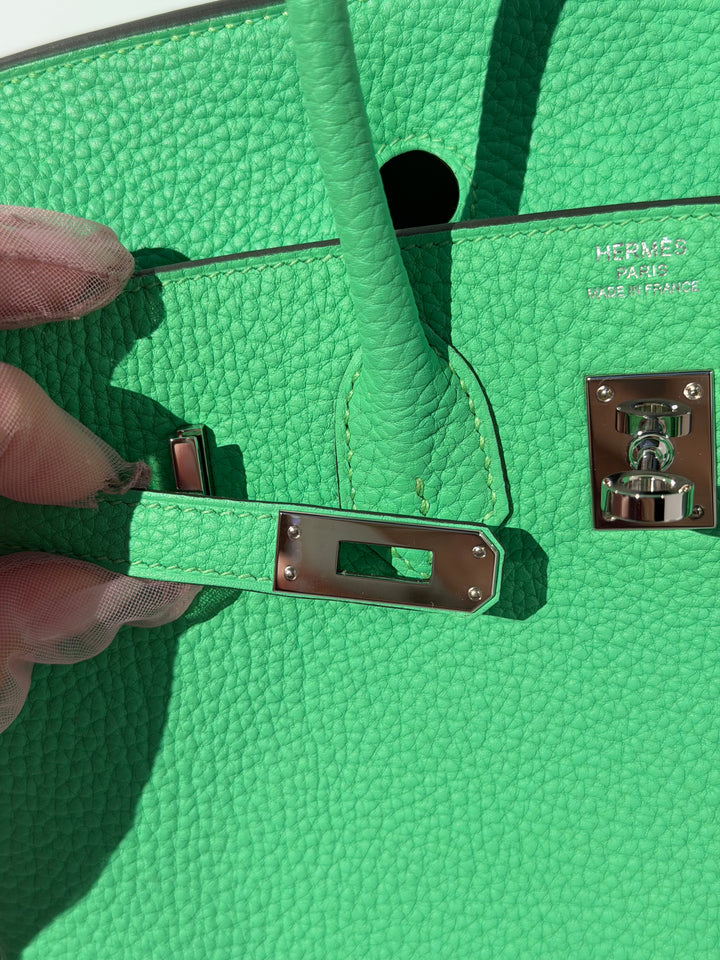 Hermès Birkin 25 Vert Comics Togo Palladium Hardware 2023