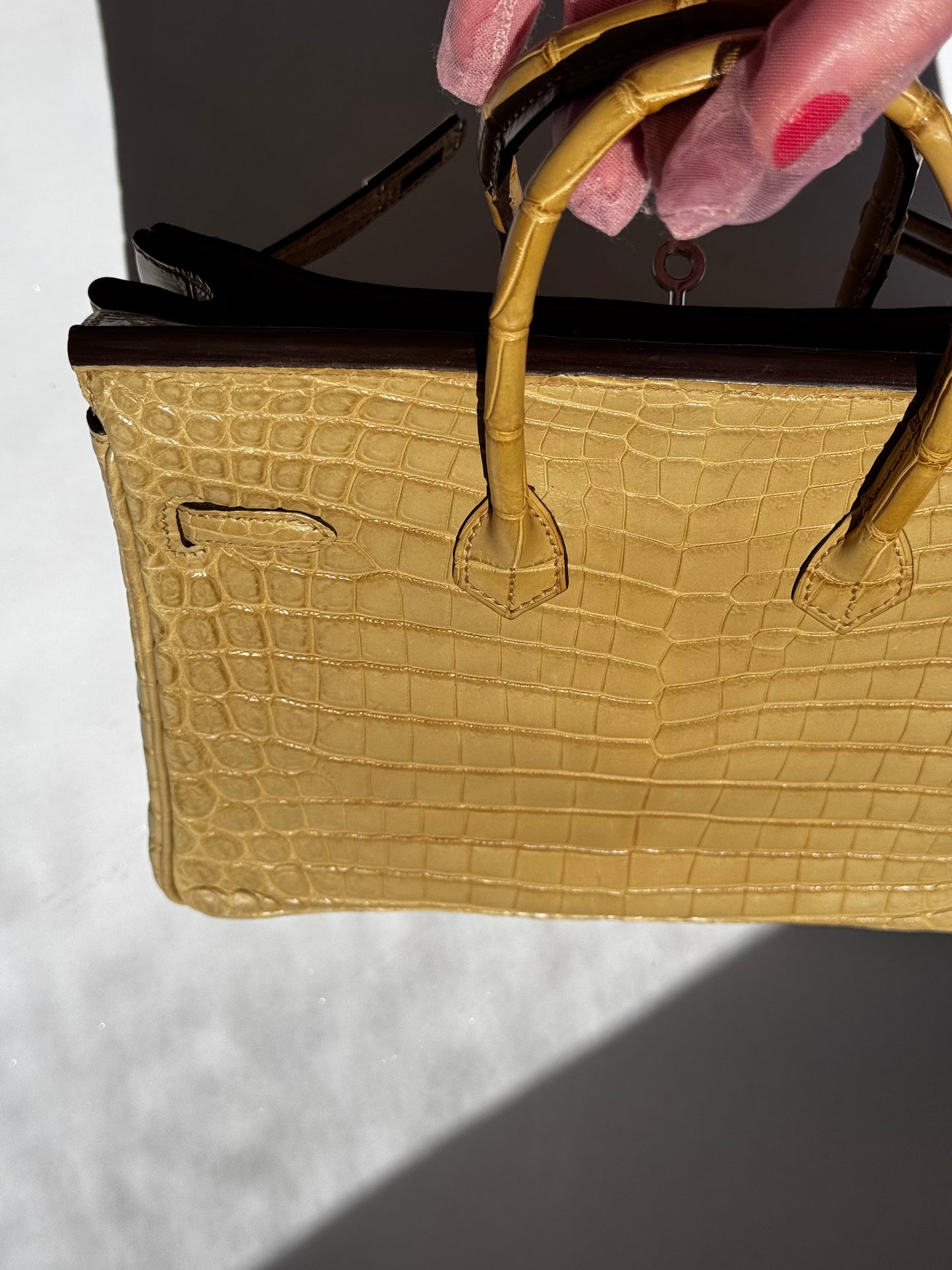 Hermes Matte Crocodile Poussiere Birkin 25 PHW