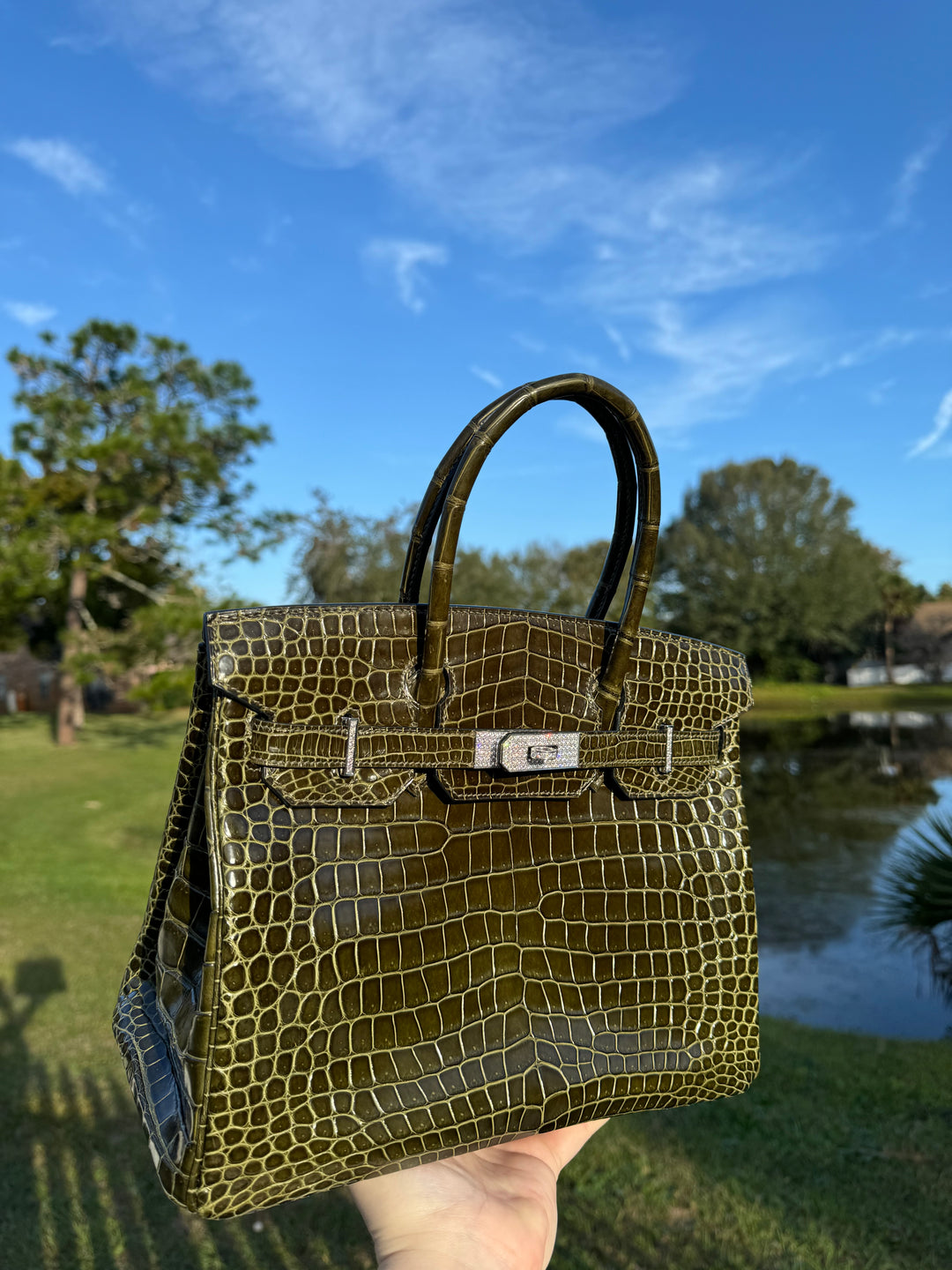Hermes Crocodile Diamond Birkin 30
