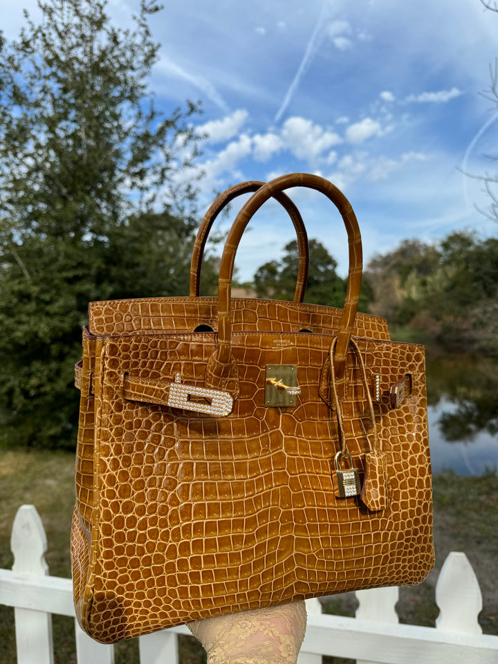 Hermes Crocodile Diamond Birkin 30