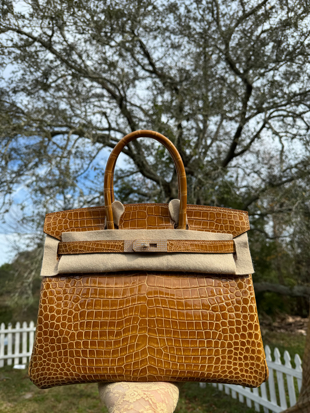 Hermes Crocodile Diamond Birkin 30