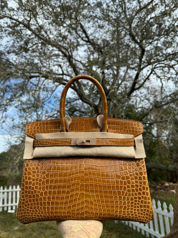 Hermes Crocodile Diamond Birkin 30