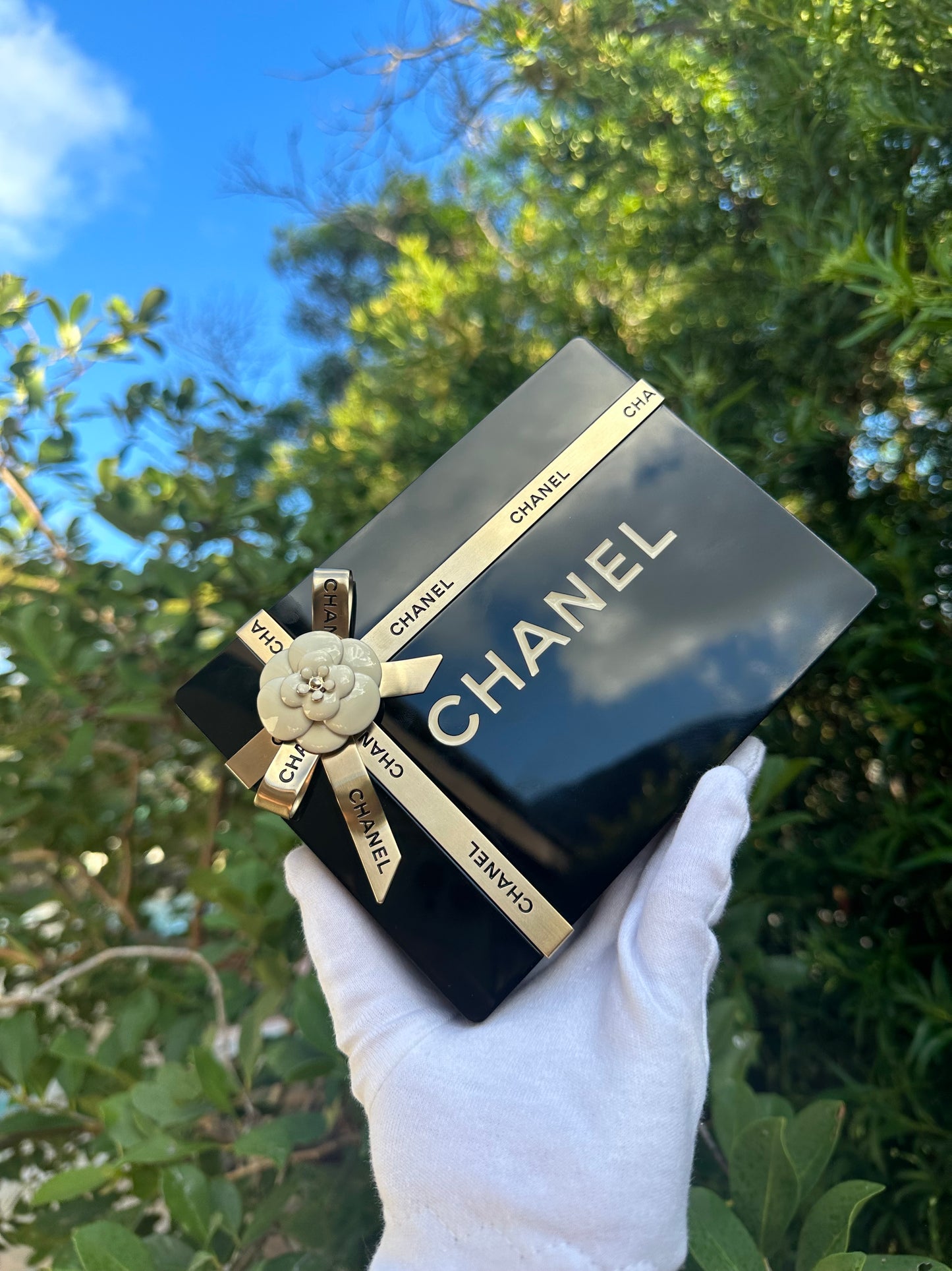 Chanel Gift Box Minaudière