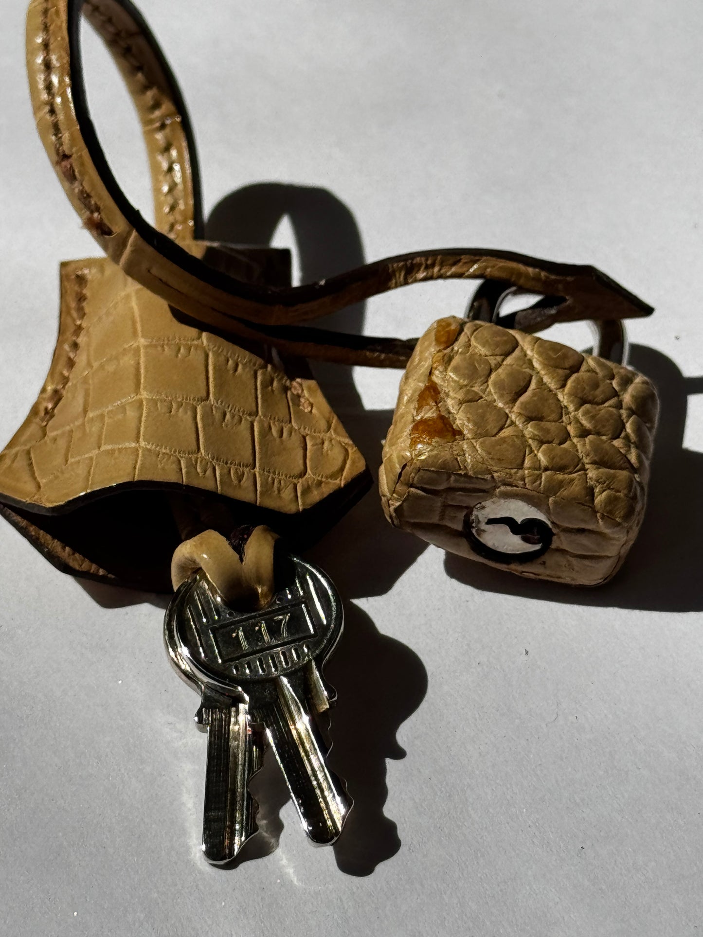 Hermes Matte Crocodile Poussiere Birkin 25 PHW