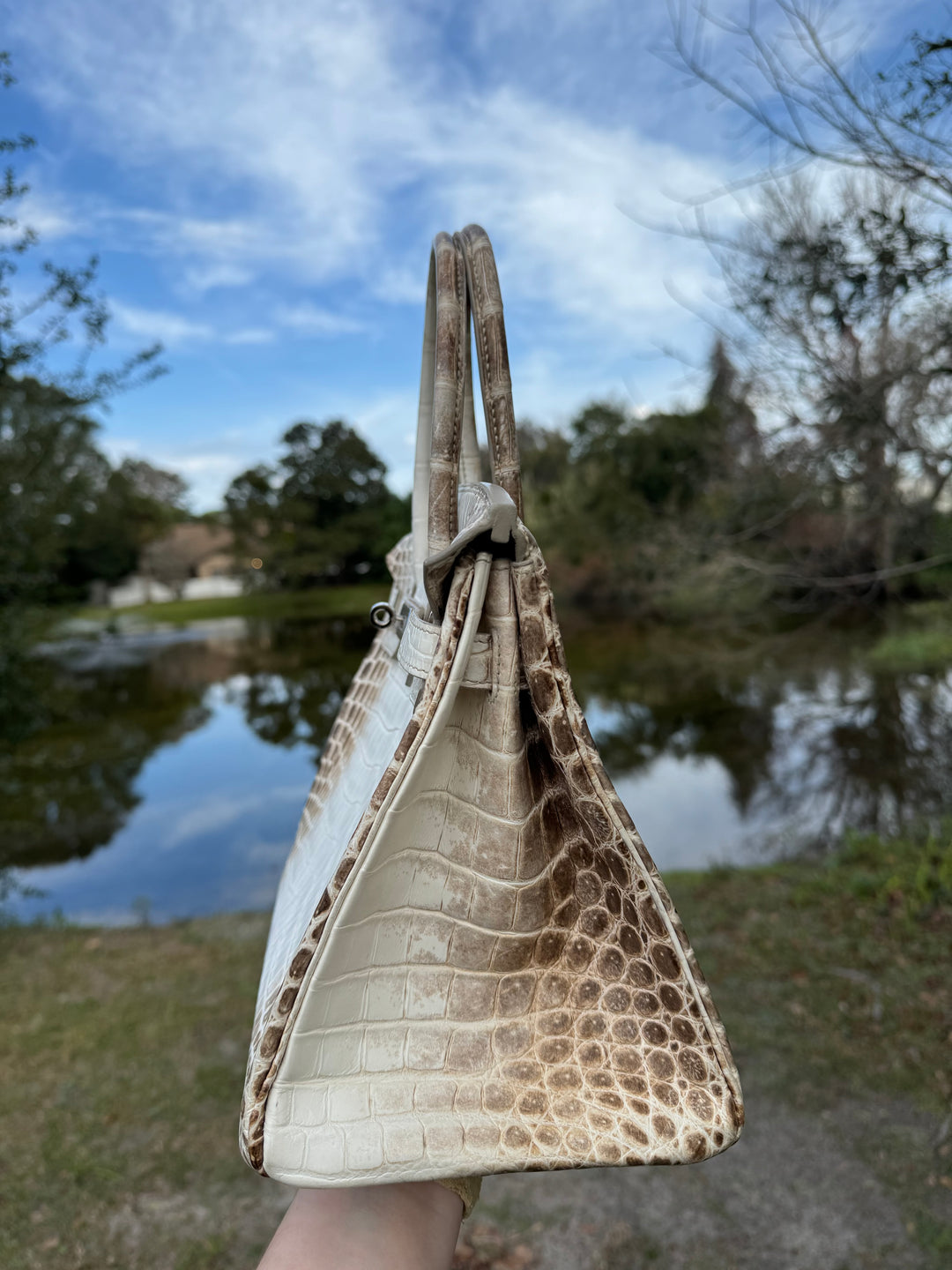 Hermes Himalaya Crocodile Birkin 30